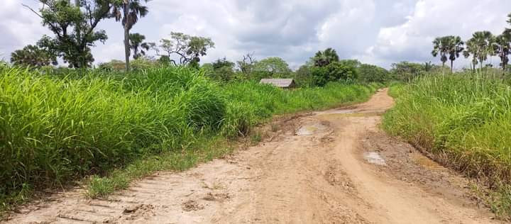 terrains-titres-a-nkozoa-et-akak-big-0