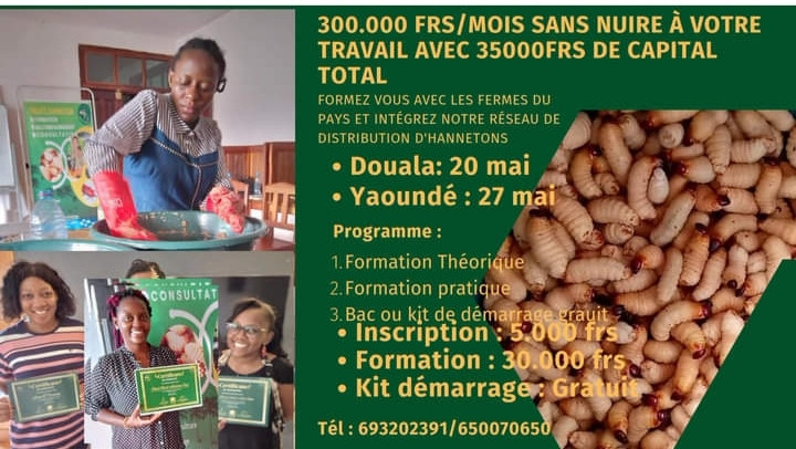 elevage-des-hannetons-big-0