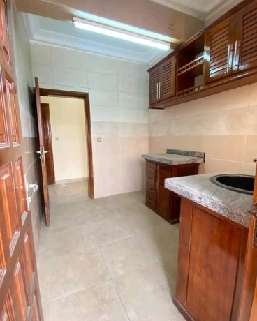 magnifique-appartement-big-1