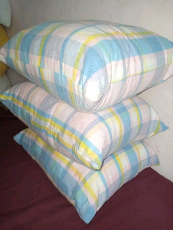 coussins-de-canape-en-coton-oie-biologique-big-1