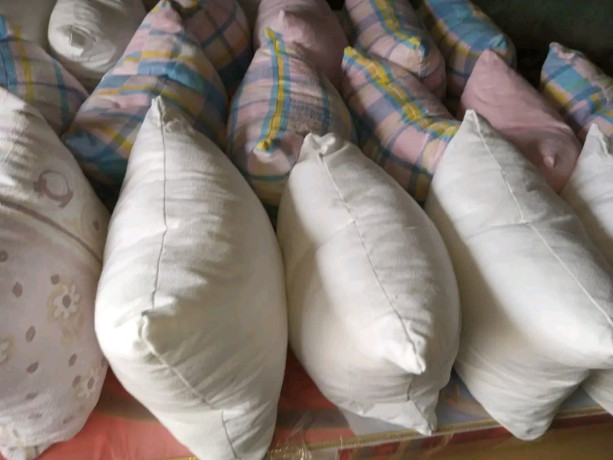 coussins-de-canape-en-coton-oie-biologique-big-0