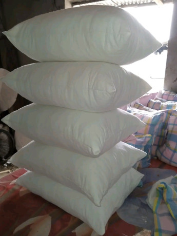 coussins-de-canape-en-coton-oie-biologique-big-2