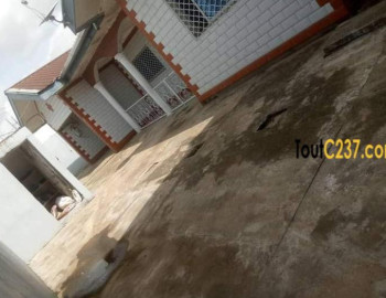 Maison à louer à bonamoussadi