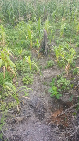 terrain-a-vendre-big-0