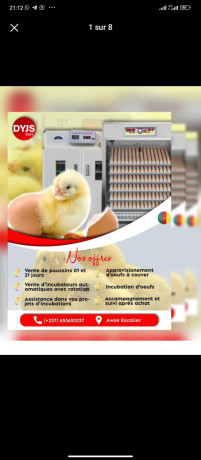 incubateur-pour-elevage-big-0