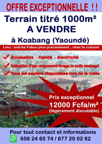 terrain-titre-de-1000m2-a-vendre-big-0