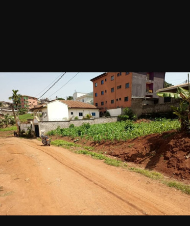 terrain-titre-a-vendre-ngousso-big-0