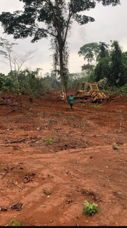 terrain-titre-a-vendre-big-0