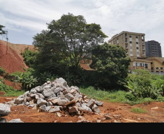 terrain-titre-a-vendre-big-0