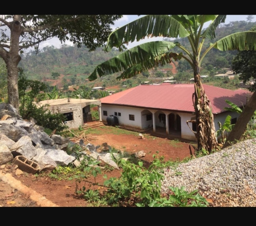 terrain-titre-a-vendre-big-0