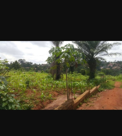 terrain-titre-nkolfoulou-big-0