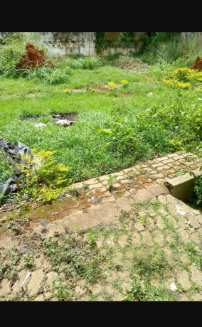 terrain-titre-a-vendre-bastos-big-0