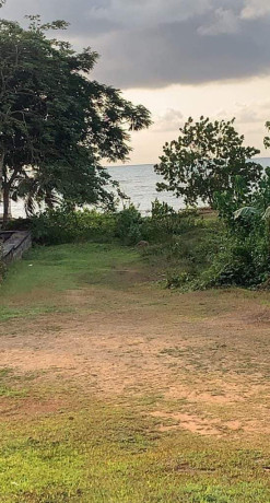 terrain-titre-a-vendre-big-2