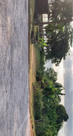 terrain-titre-a-vendre-big-1