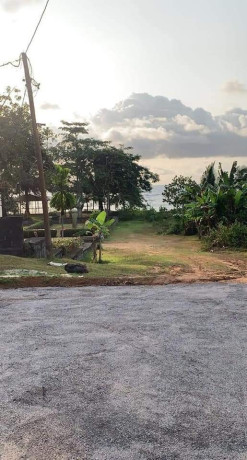 terrain-titre-a-vendre-big-3