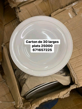 plats-a-vendre-big-2