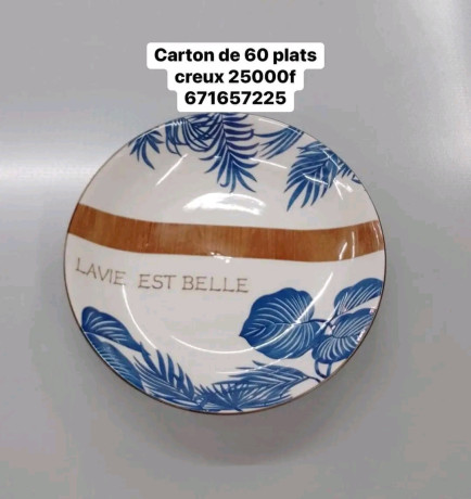 plats-a-vendre-big-1