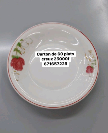 plats-a-vendre-big-4