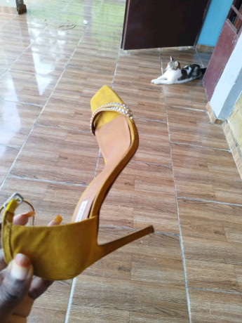 talon-en-vide-grenier-big-1