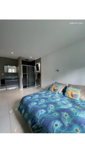 villa-6-pieces-144-m2-la-moutonne-big-2