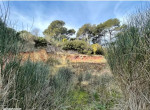 terrain-1723-m2-la-garde-1723-m2-la-garde-83130-540000-313-m2-small-0