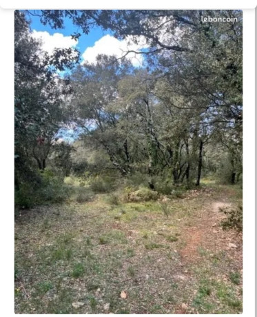 12-terrain-2-943-m2-sainte-anastasie-sur-issole-big-1