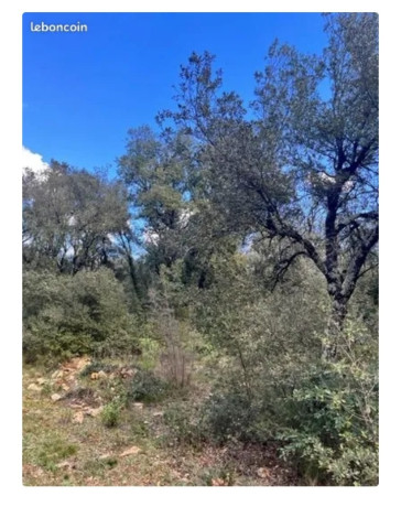 12-terrain-2-943-m2-sainte-anastasie-sur-issole-big-0