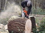 stere-de-bois-de-chauffage-bonne-qualite-small-3