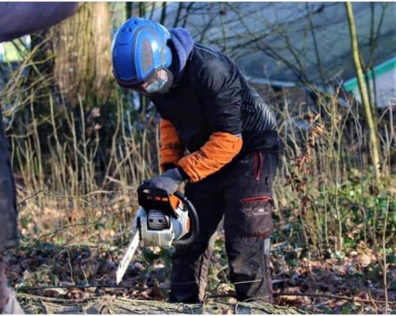 stere-de-bois-de-chauffage-bonne-qualite-big-4