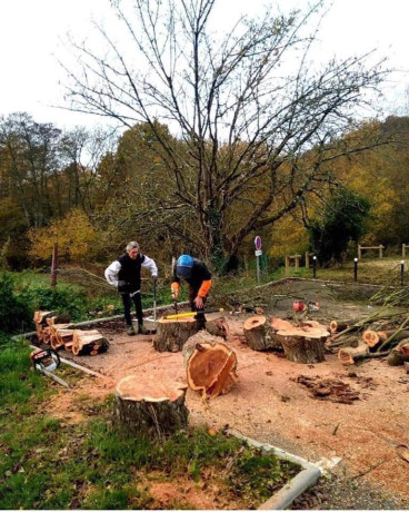 stere-de-bois-de-chauffage-bonne-qualite-big-2
