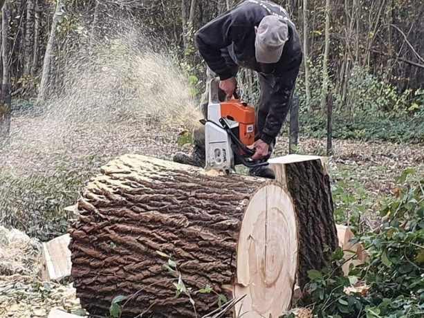 stere-de-bois-de-chauffage-bonne-qualite-big-3