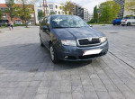 magnifique-skoda-fabia-small-0