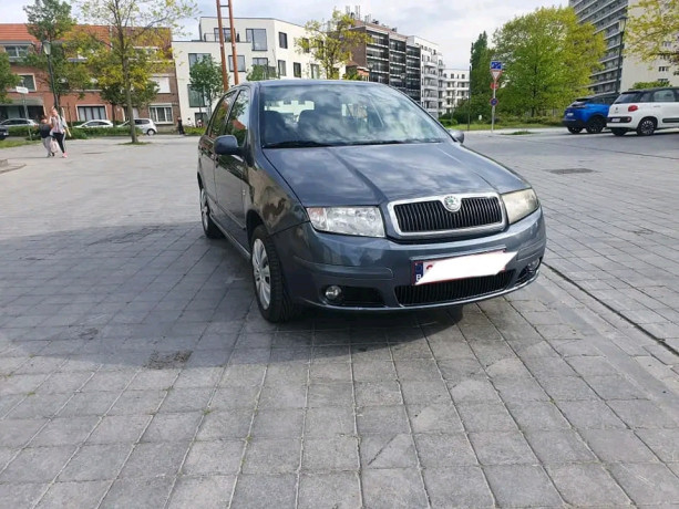 magnifique-skoda-fabia-big-0