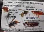 se-debarrasser-de-tous-les-insectes-a-la-maison-small-0