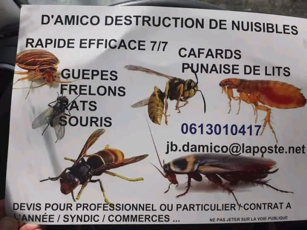 se-debarrasser-de-tous-les-insectes-a-la-maison-big-0