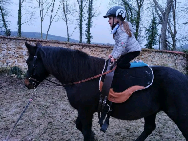 venez-decouvrir-la-voltige-aux-les-gros-sabots-a-celles-les-conde-big-1