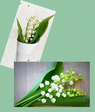 vente-de-compositions-florales-big-2
