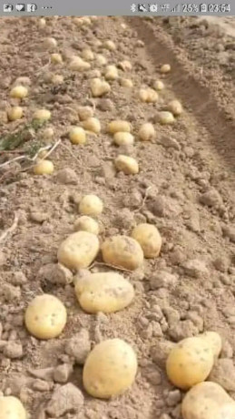 je-vous-proposer-mon-service-transport-big-0