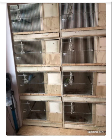 cage-elevage-30-big-1