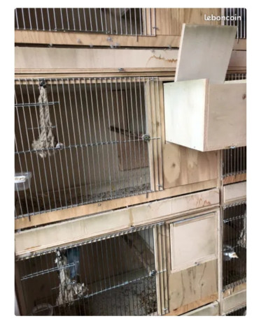 cage-elevage-30-big-0