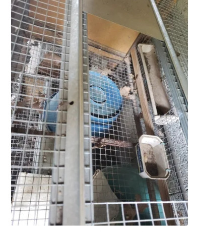 cage-elevage-70-big-0