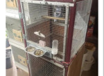 cage-oiseaux-80-small-1