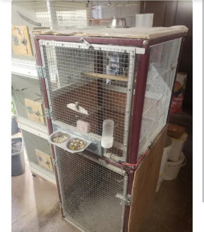 cage-oiseaux-80-big-1