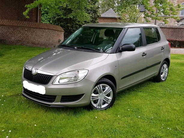 skoda-fabia-annee-2011-big-0
