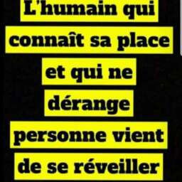 studio-bon-standing-avec-tf-a-vendre-a-montagne-sainte-big-4